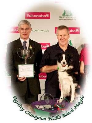 Will Rolfe and Ag Ch Nedlo Black Magic (Scoot) winners